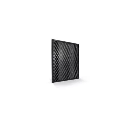 Series 1000 NanoProtect FY1413/30 filter