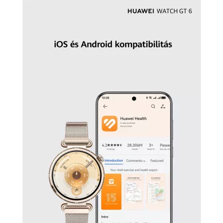 Huawei Watch GT6 41mm Gold