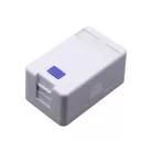 Walisec Keystone fali aljzat - FP-SB01-1 (1 port, Cat5e/Cat6/Cat6A, árnyékolatlan, fehér)