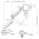 Equip Monitor Asztali konzol - 650181 (17"-49", 1 monitor, dönthető, forgatható, Max.: 20kg, fehér)