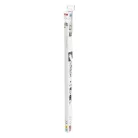 EMOS LED Fénycső T8 6,5 W 1 100 lm 60 cm, Hideg fehér 10 db.
