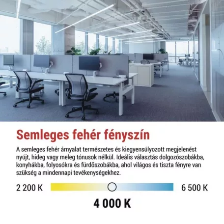 LED Fénycső T8 24 W 4 050 lm 150 cm, természetes fehér