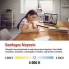 LED izzó Filament A60 A CLASS/ E27 / 3,8 W (60 W) / 806 lm / természetes fehér
