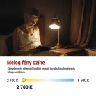 LED izzó Filament A60 / E27 / 3,4 W (40 W) / 470 lm / Meleg fehér