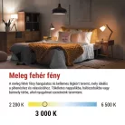 LED izzó Classic MR16 fehér/ GU10 / 1,3 W (16 W) / 150 lm / Meleg fehér