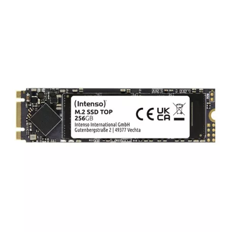 Intenso 256GB Top Performance M.2 - 3832440