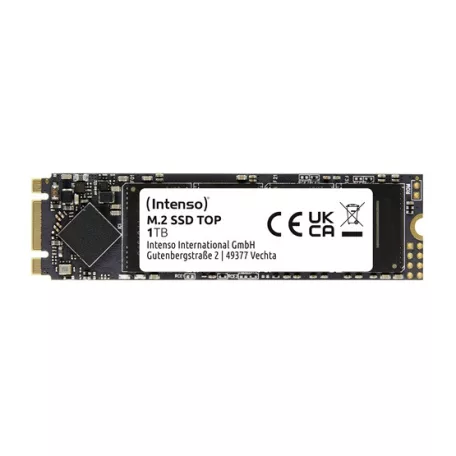 Intenso 1TB Top Performance M.2 - 3832460