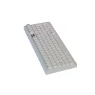 AVAX GM03 PRO Fehér 98% Gasket RGB tri-mode mechanikus billentyűzet Gateron piros switch, magyar kiosztás