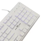 White Shark GK-003241W-US TACHI vezetékes membrán gamer billentyűzet - fehér - US
