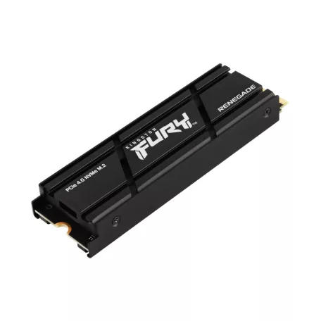 Kingston Technology FURY Renegade, 1 TB, M.2