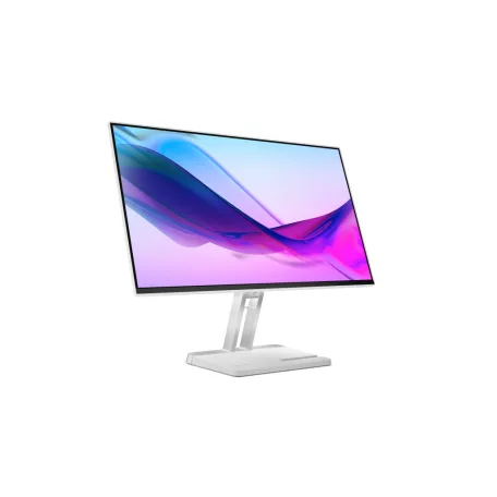 Lenovo L24i-4A, 60,5 cm (23.8"), 1920 x 1080 pixelek, Full HD, LED, 6 ms, Szürke