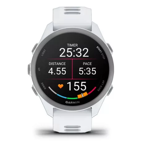 Garmin Forerunner 170, 3,05 cm (1.2"), AMOLED, Érintőképernyő, GPS (műhold)