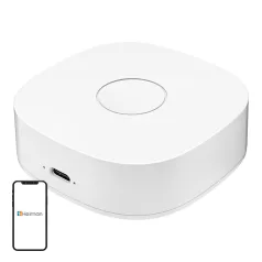 Intelligens otthon WS2GW-R WiFi