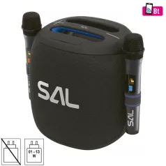   SAL PARCUBE boombox, 100 W, 2db vezeték nélküli mikrofon, 5db hangszóró, LED fényeffekt, IPX6 védelem, bluetooth