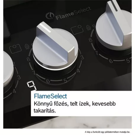 Bosch FŐZŐLAP BEÉPÍTHETŐ GÁZ PPH6A6I10