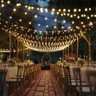 Garden of Eden SMART FÉNYFÜZÉR, 25 LED, 15 M, BLUETOOTH 58384