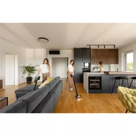 Gorenje PORSZÍVÓ ÁLLÓ 2 IN 1 SVC259400NES