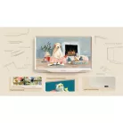 Hisense TV 43" FULL HD LIFESTYLE QLED 43S5Q
