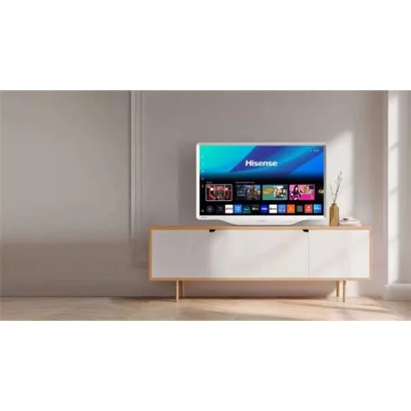 Hisense TV 43" FULL HD LIFESTYLE QLED 43S5Q