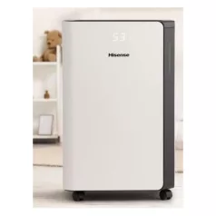 Hisense PÁRAMENTESÍTŐ D20CW