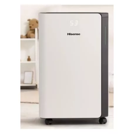 Hisense PÁRAMENTESÍTŐ D20CW