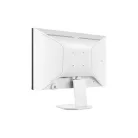 Tcl MONITOR 24G54
