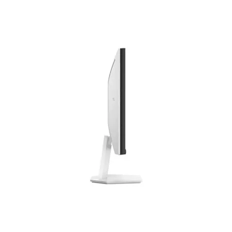 Tcl MONITOR 24G54