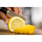 Tefal KÉS 9CM SZELETELŐ K2320514