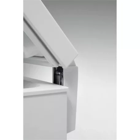 Whirlpool FAGYASZTÓLÁDA 315 L WHE31352